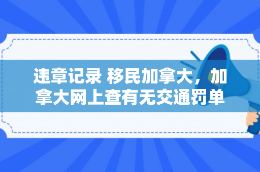 违章记录 移民加拿大，加拿大网上查有无交通罚单