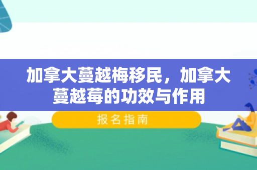 加拿大蔓越梅移民，加拿大蔓越莓的功效与作用