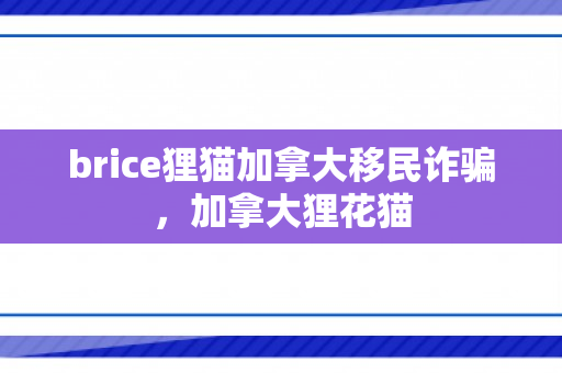 brice狸猫加拿大移民诈骗，加拿大狸花猫