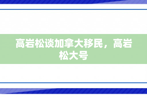 高岩松谈加拿大移民，高岩松大号