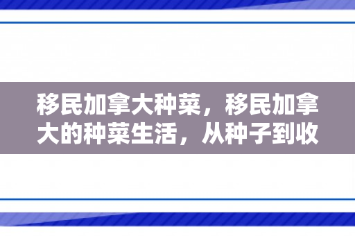 移民加拿大种菜，移民加拿大的种菜生活，从种子到收获的快乐旅程