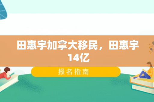 田惠宇加拿大移民，田惠宇 14亿