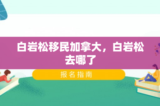 白岩松移民加拿大，白岩松去哪了