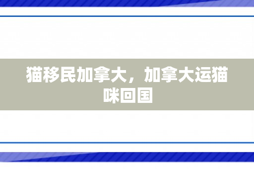 猫移民加拿大，加拿大运猫咪回国